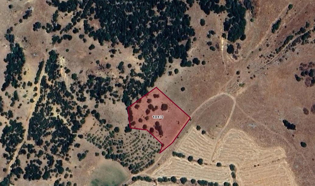 AFYONKARAHİSAR DİNAR KEKLİCEK KÖYÜNDE 5.018 M² HAM TOPRAK TARLAMIZ  SATILIKTIR.
